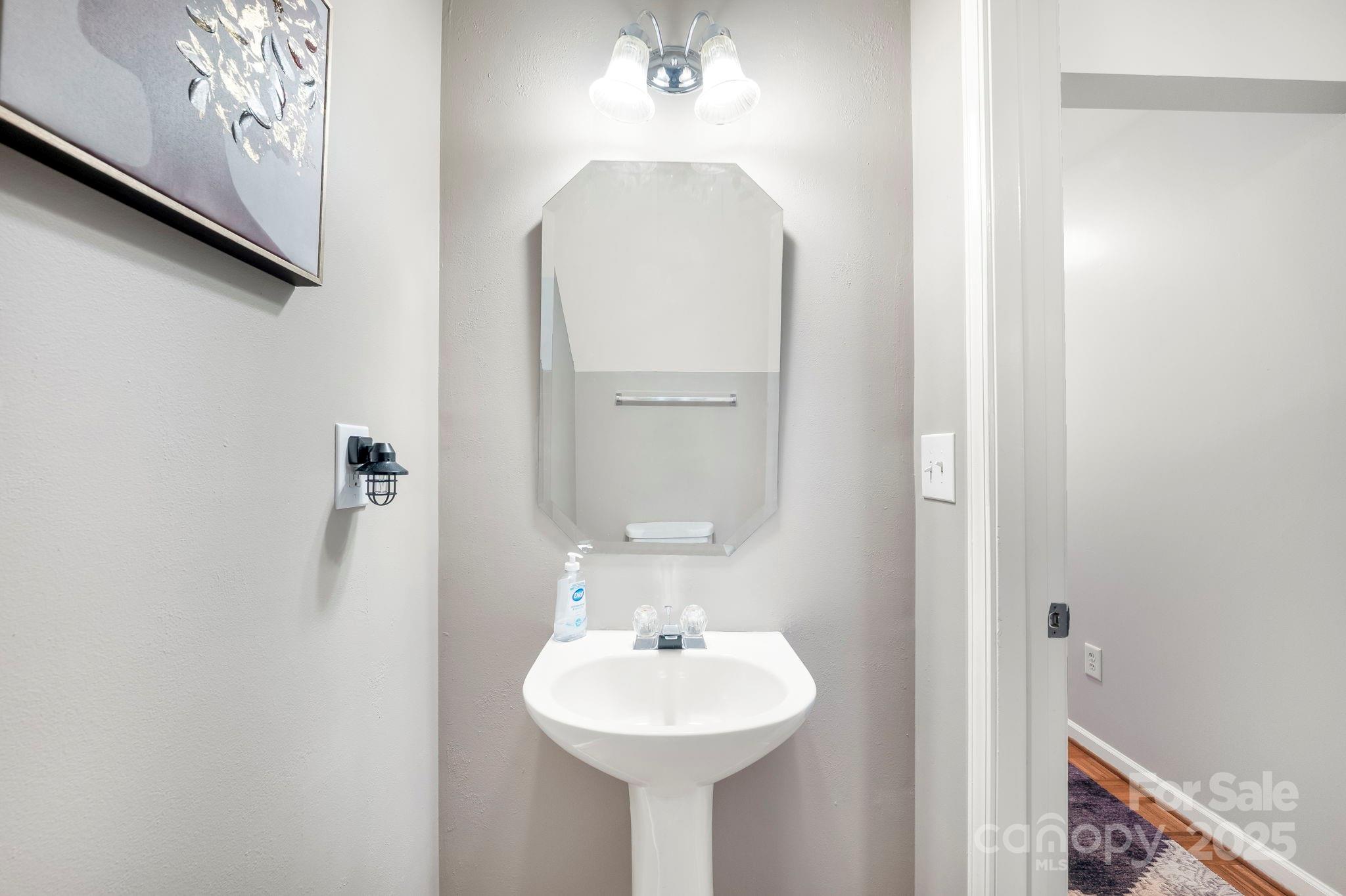 9919 Treeside Lane Matthews, NC 28105 - Photo 14 of 16 a bathroom with a sink and a mirror