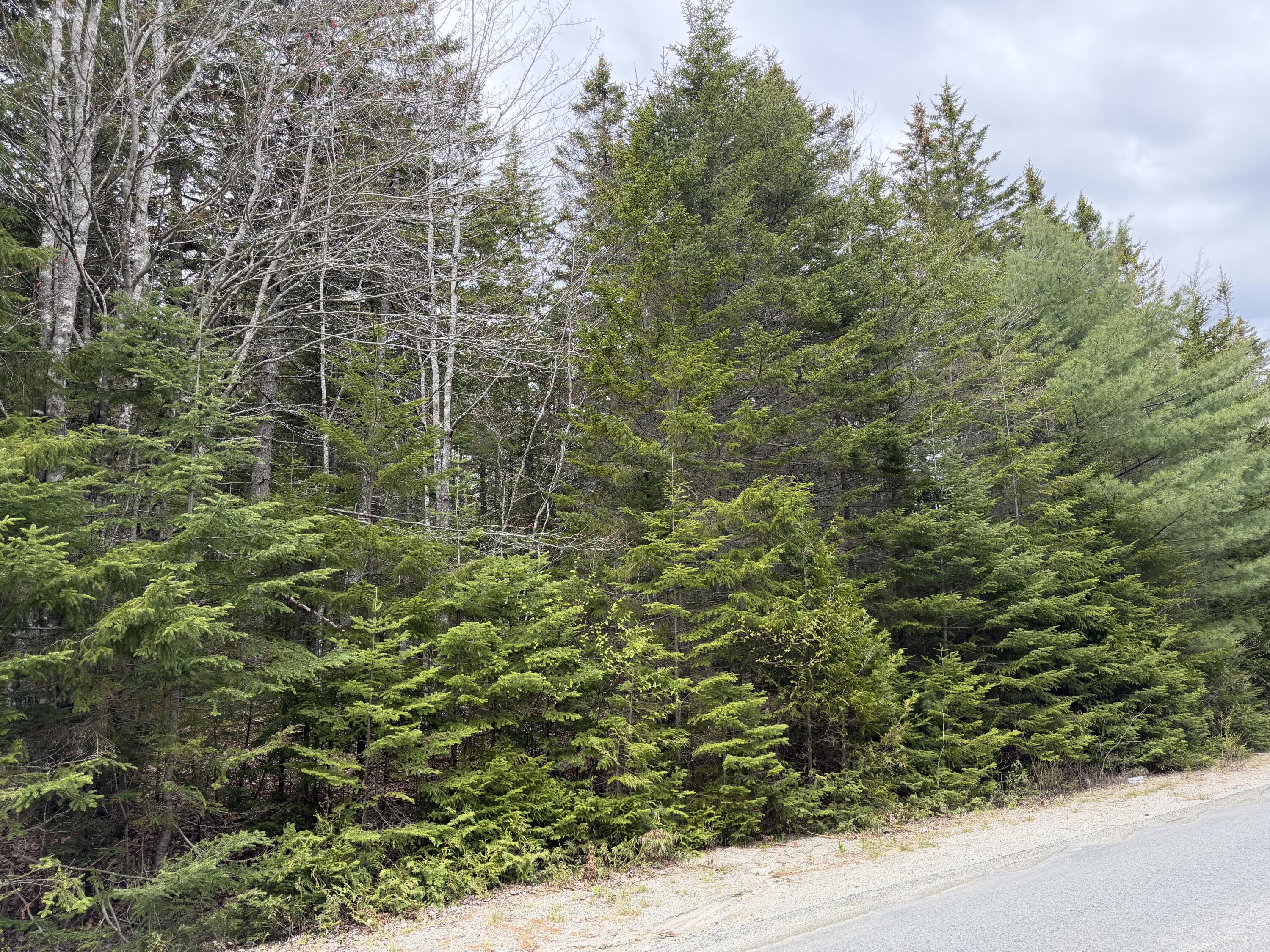 2 C Gouldsboro Point Road Gouldsboro, ME 04607 - Photo 1 of 6 3