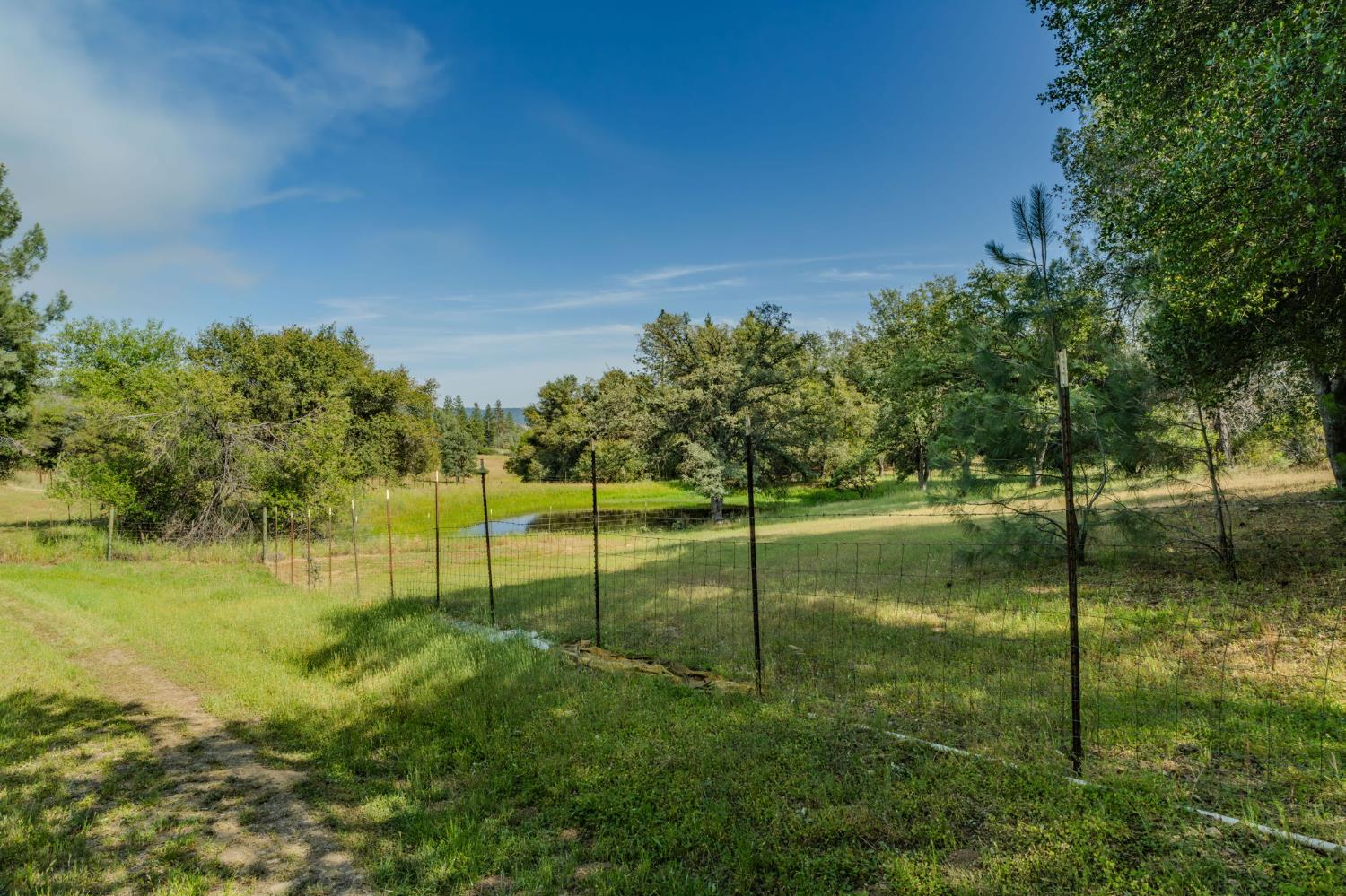 6216 Trout Lane Mountain Ranch, CA 95246 - Photo 22 of 39 a view of a backyard with green space