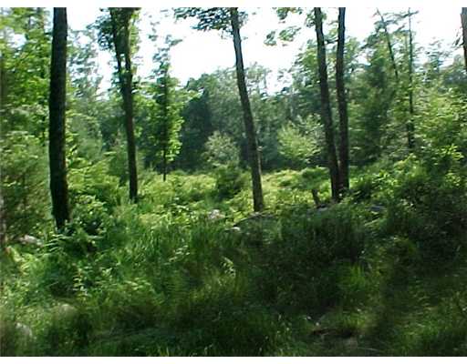 632 Hope Furnace Road Coventry, RI 02831 - Photo 6 of 7 Land.