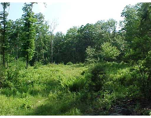 632 Hope Furnace Road Coventry, RI 02831 - Photo 7 of 7 Land.