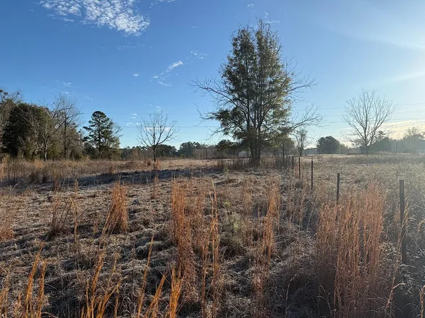 $13,900 | Vacant Southwest Vacant Sw Wyoming Avenue, Lamont, FL 32336