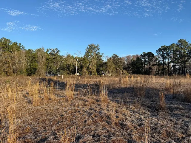 $13,900 | Vacant Southwest Vacant Sw Wyoming Avenue, Greenville, FL 32331