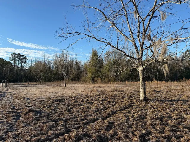 $13,900 | Vacant Southwest Vacant Sw Wyoming Avenue, Greenville, FL 32331