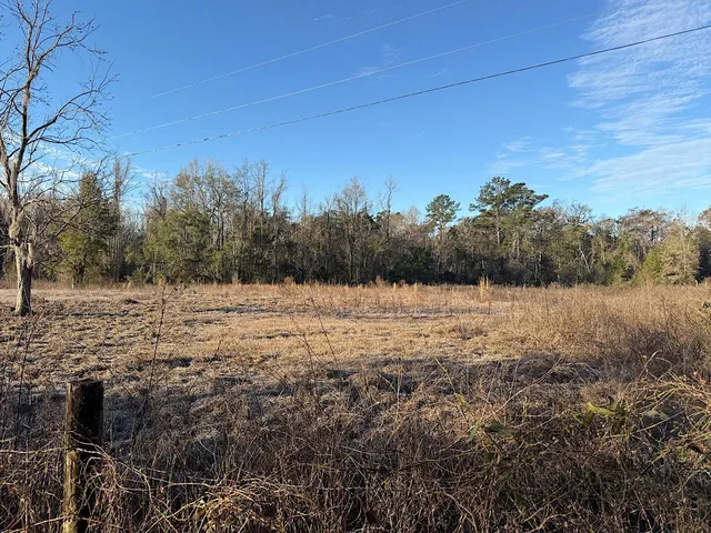 $13,900 | Vacant Southwest Vacant Sw Wyoming Avenue, Greenville, FL 32331