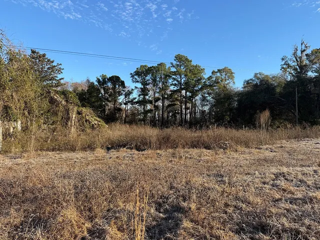 $13,900 | Vacant Southwest Vacant Sw Wyoming Avenue, Greenville, FL 32331