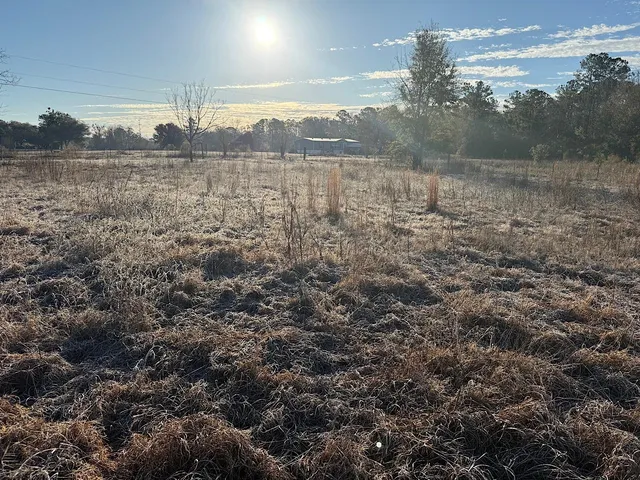 $13,900 | Vacant Southwest Vacant Sw Wyoming Avenue, Greenville, FL 32331