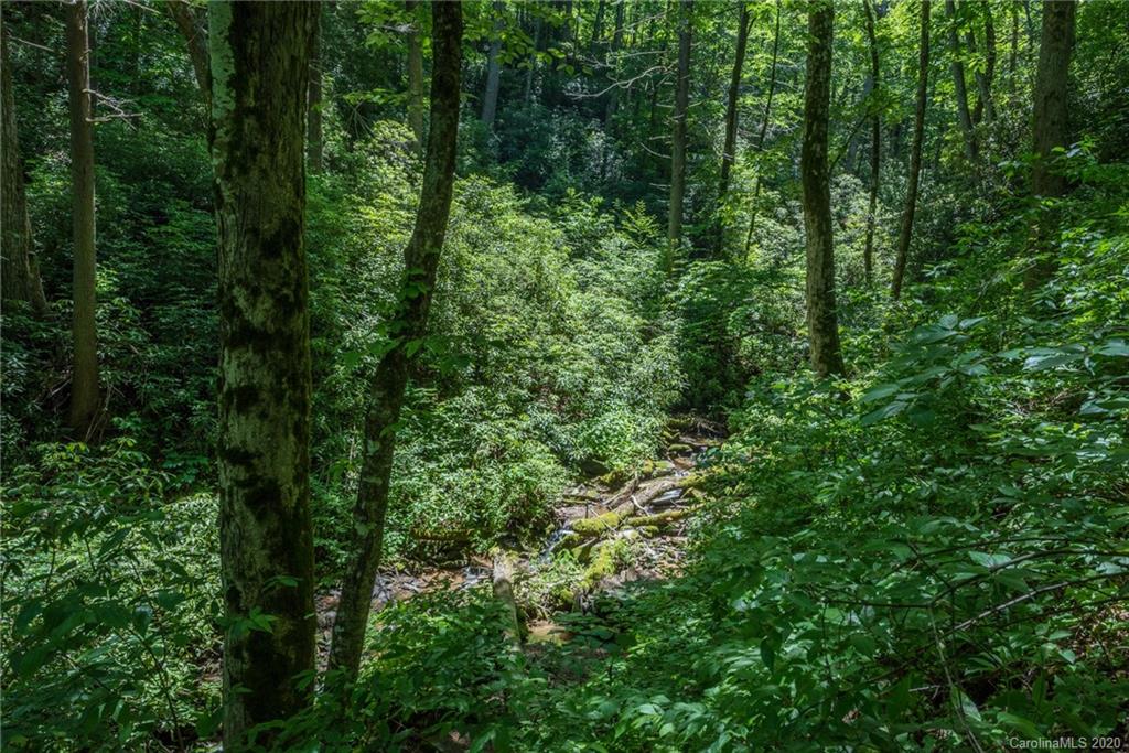 88 Johnny Marlow Road Fairview, NC 28730 - Photo 28 of 37 Gallery Image 28