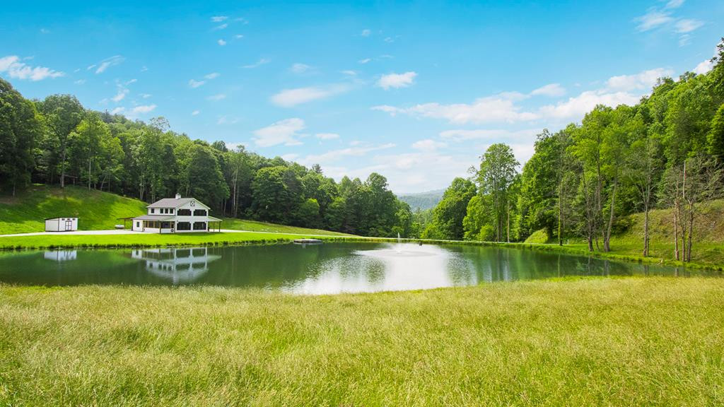 1651 Winding Stairs Road Topton, NC 28781 - Photo 55 of 100