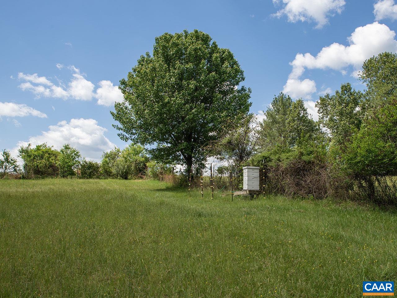 7230 Plank Road Afton, VA 22920 - Photo 29 of 37 a view of a big yard with large trees