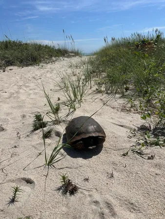 $5,000 | 3150 North Hwy A1A, Unit 301, Hutchinson Island, FL 34949