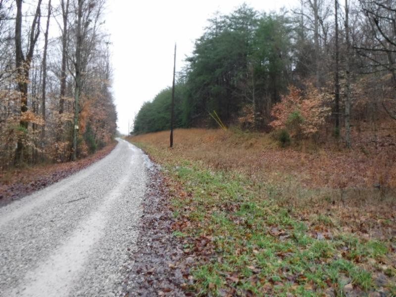 114 34ac Arrowhead Road Moss, TN 38575 - Photo 3 of 30 a view of a dry yard with trees