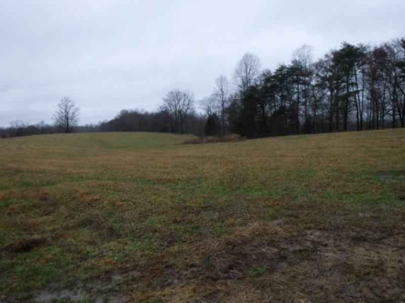 114 34ac Arrowhead Road Moss, TN 38575 - Photo 4 of 30 a view of a field with trees in background