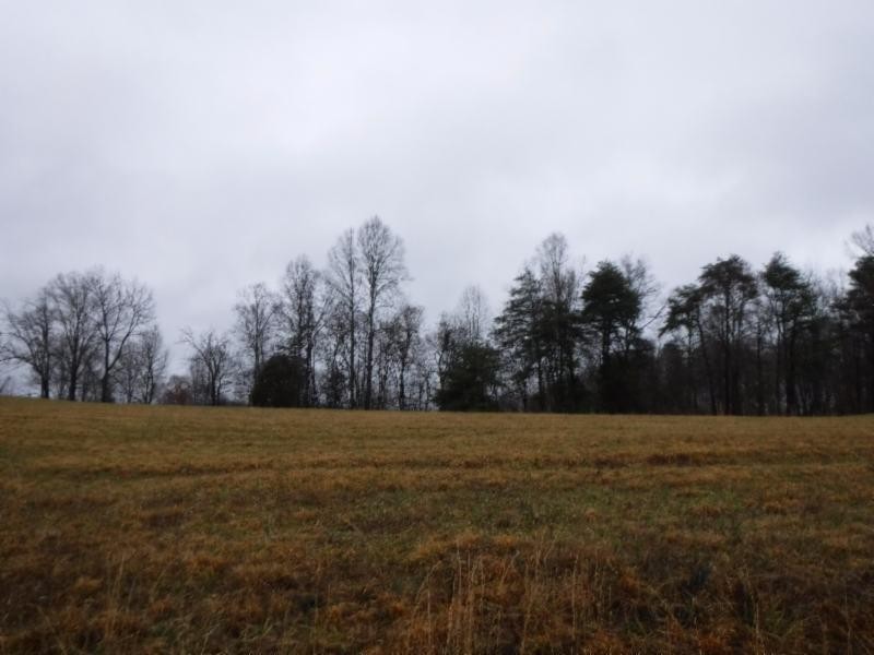 114 34ac Arrowhead Road Moss, TN 38575 - Photo 5 of 30 a view of a field with trees in background
