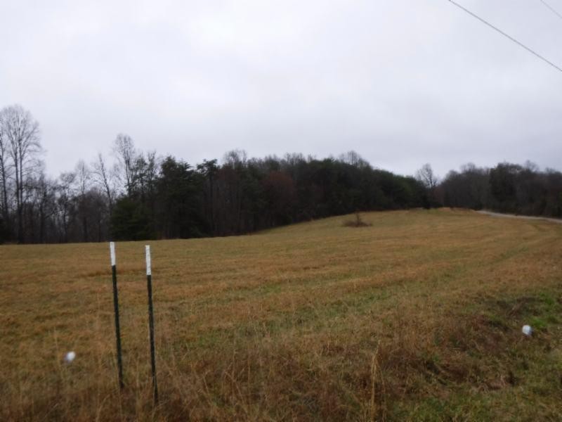 114 34ac Arrowhead Road Moss, TN 38575 - Photo 6 of 30 a view of a field