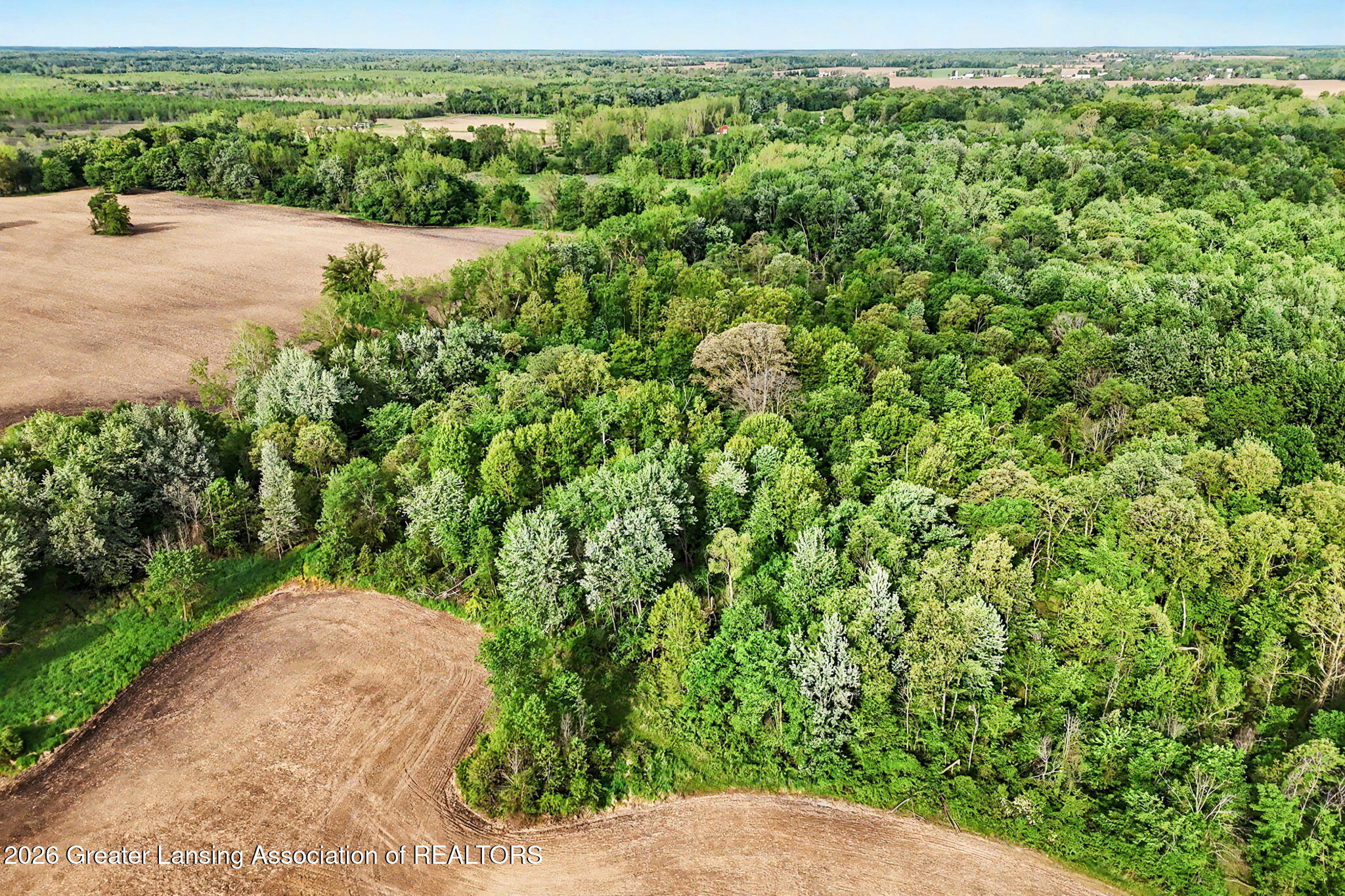 0 North Royston Road Grand Ledge, MI 48837 - Photo 2 of 33 2-web-or-mls-drone16