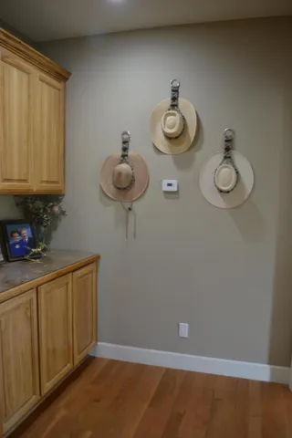 a view of a yard with tree s