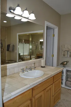 a view of a park with a tree