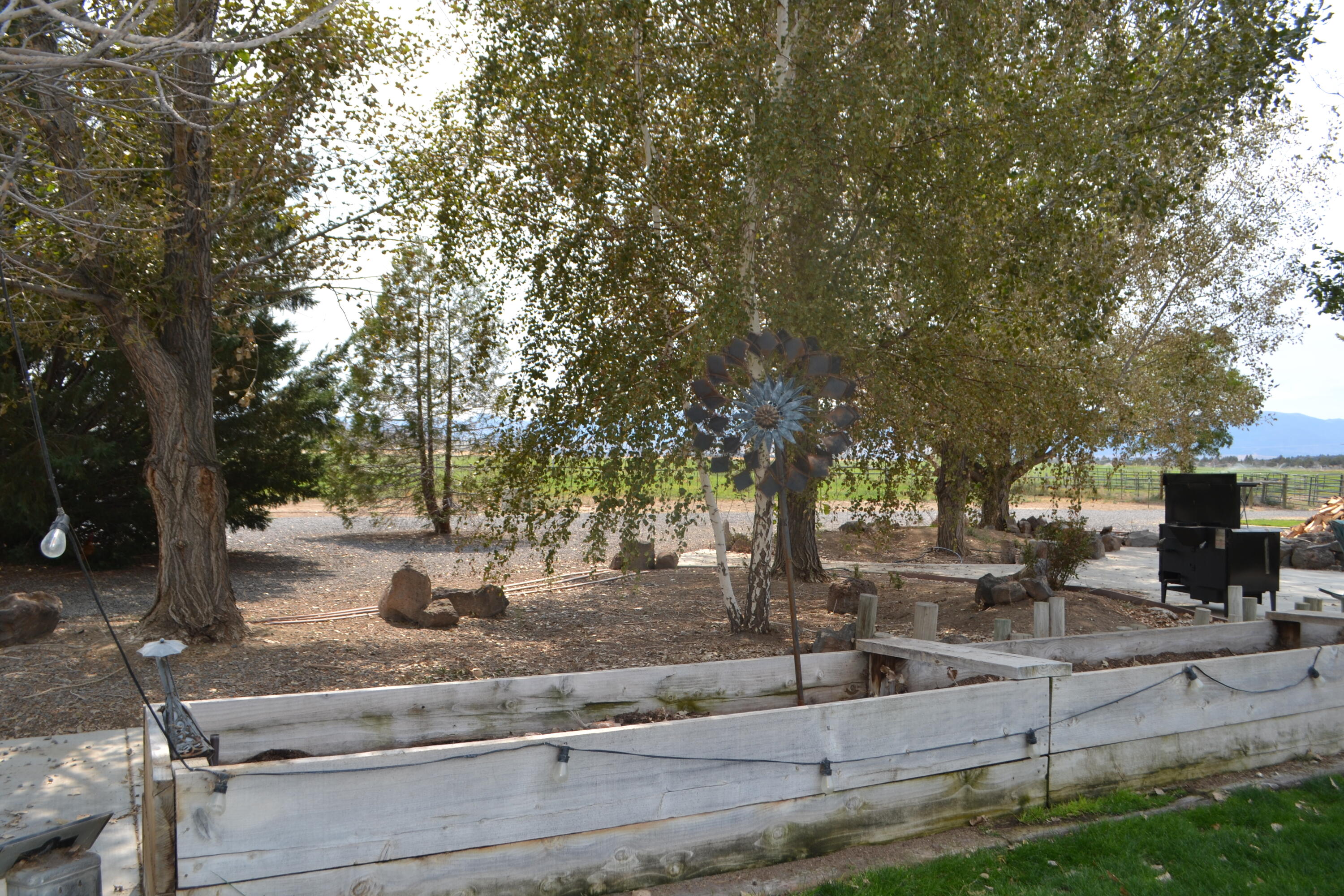 480-100 Belfast Road Litchfield, CA 96117 - Photo 58 of 100 a view of a yard with a tree