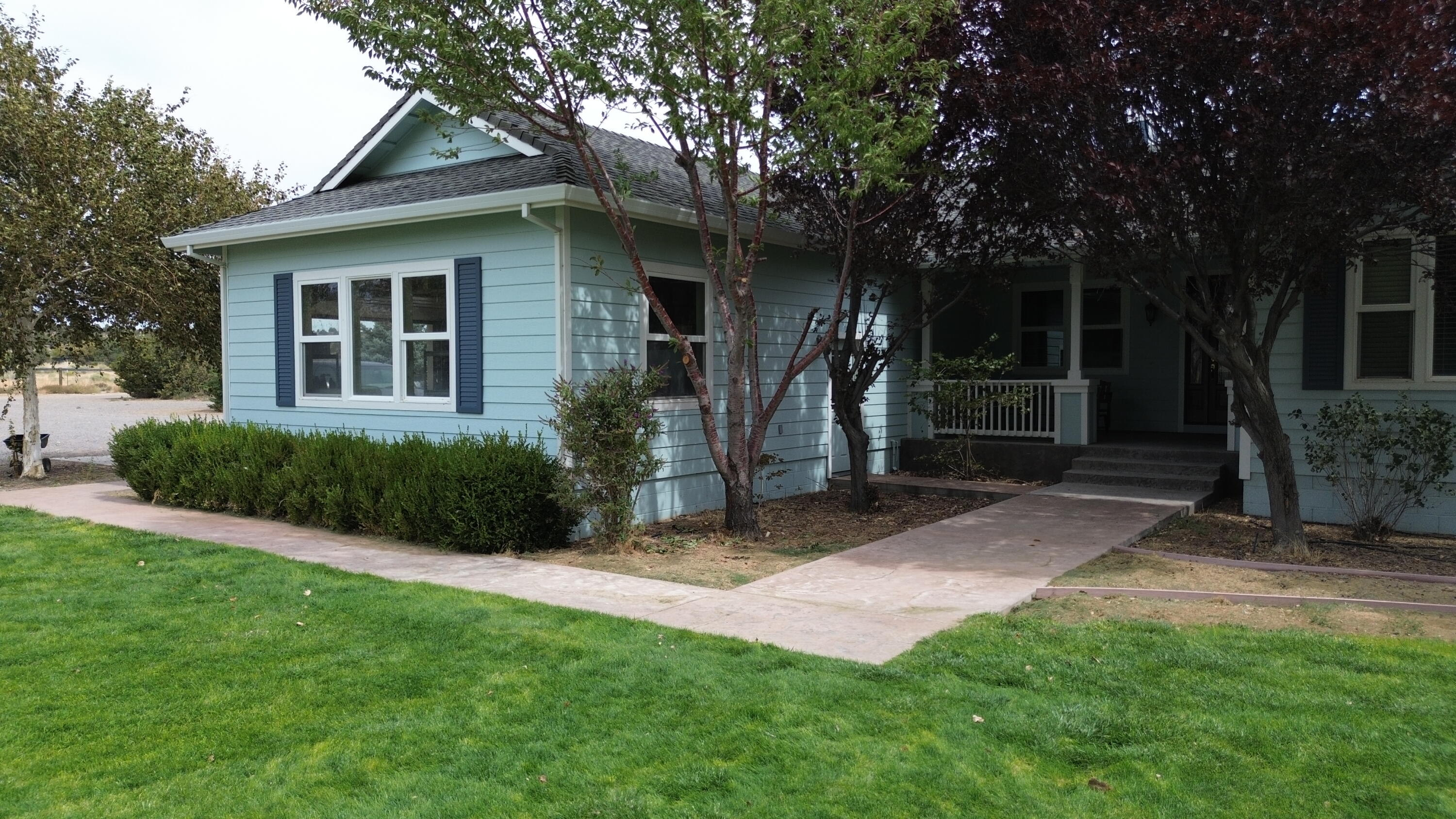 480-100 Belfast Road Litchfield, CA 96117 - Photo 64 of 100 a view of a house with a yard and tree