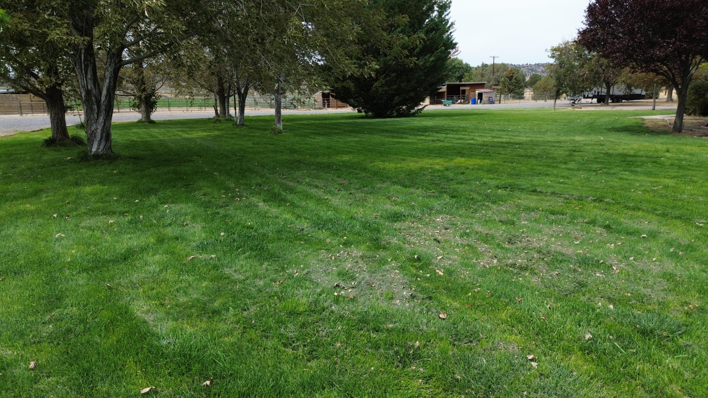 480-100 Belfast Road Litchfield, CA 96117 - Photo 66 of 100 DJI_0848