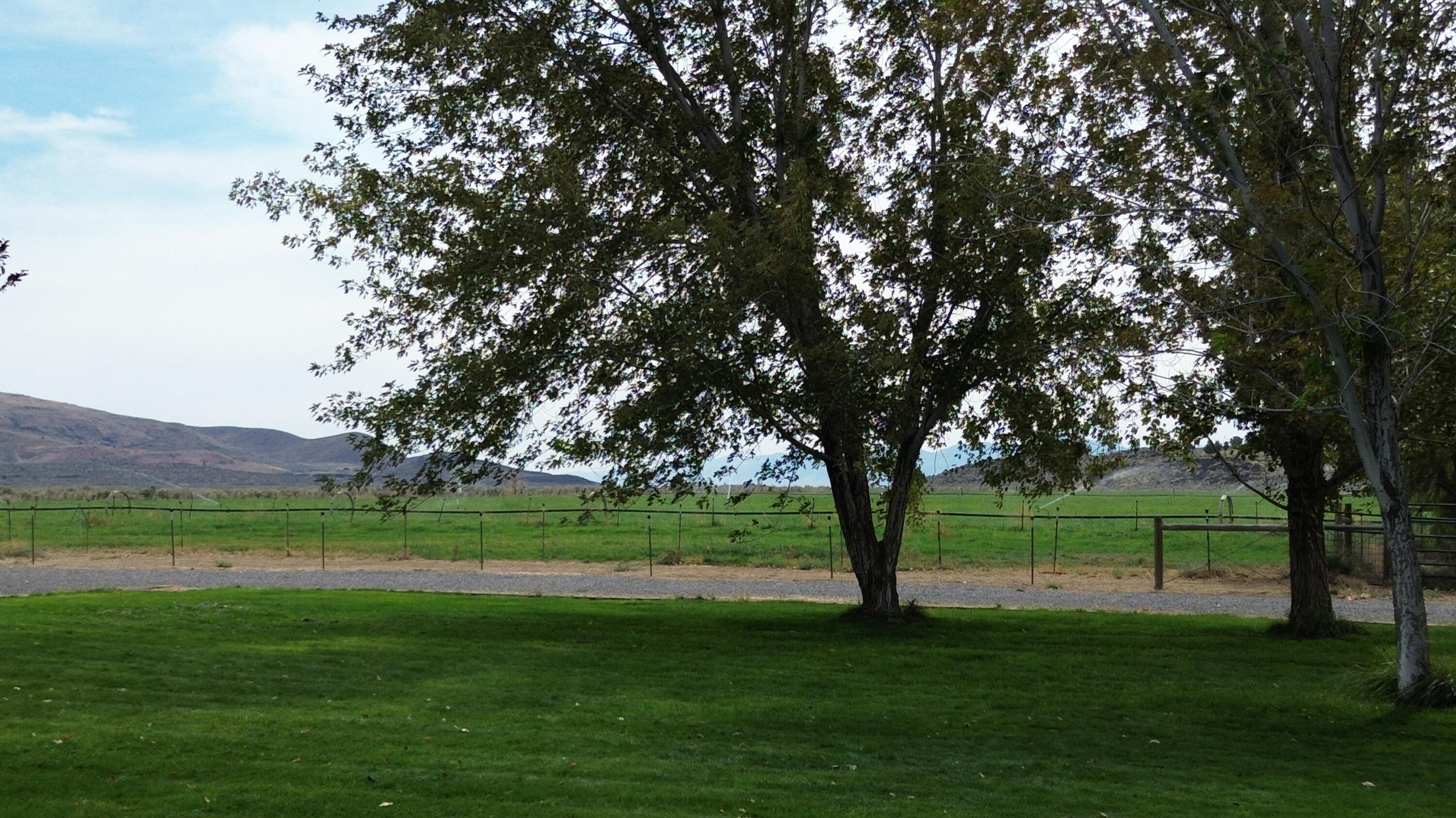 480-100 Belfast Road Litchfield, CA 96117 - Photo 67 of 100 a view of a grassy field with trees all around