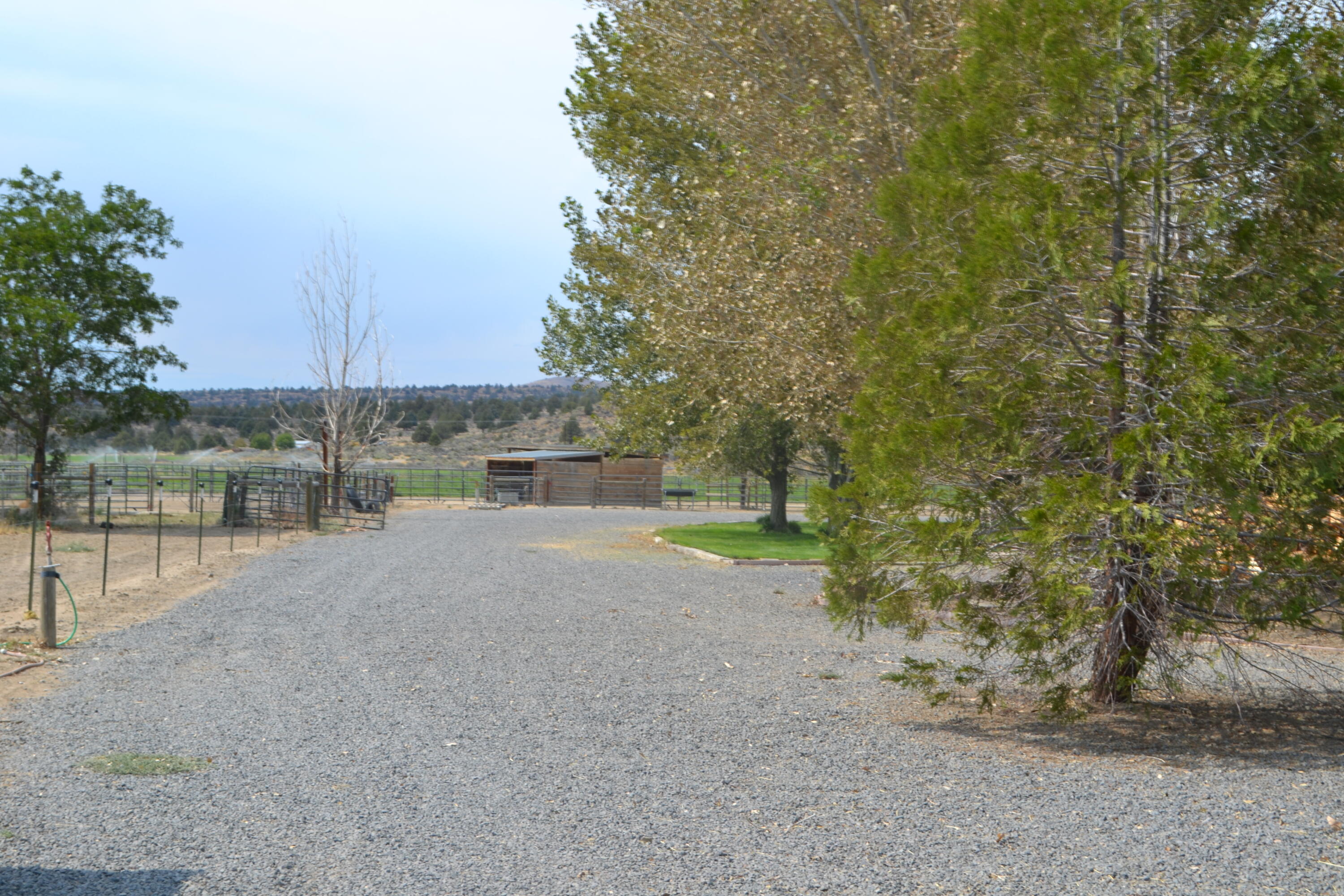 480-100 Belfast Road Litchfield, CA 96117 - Photo 68 of 100 19h