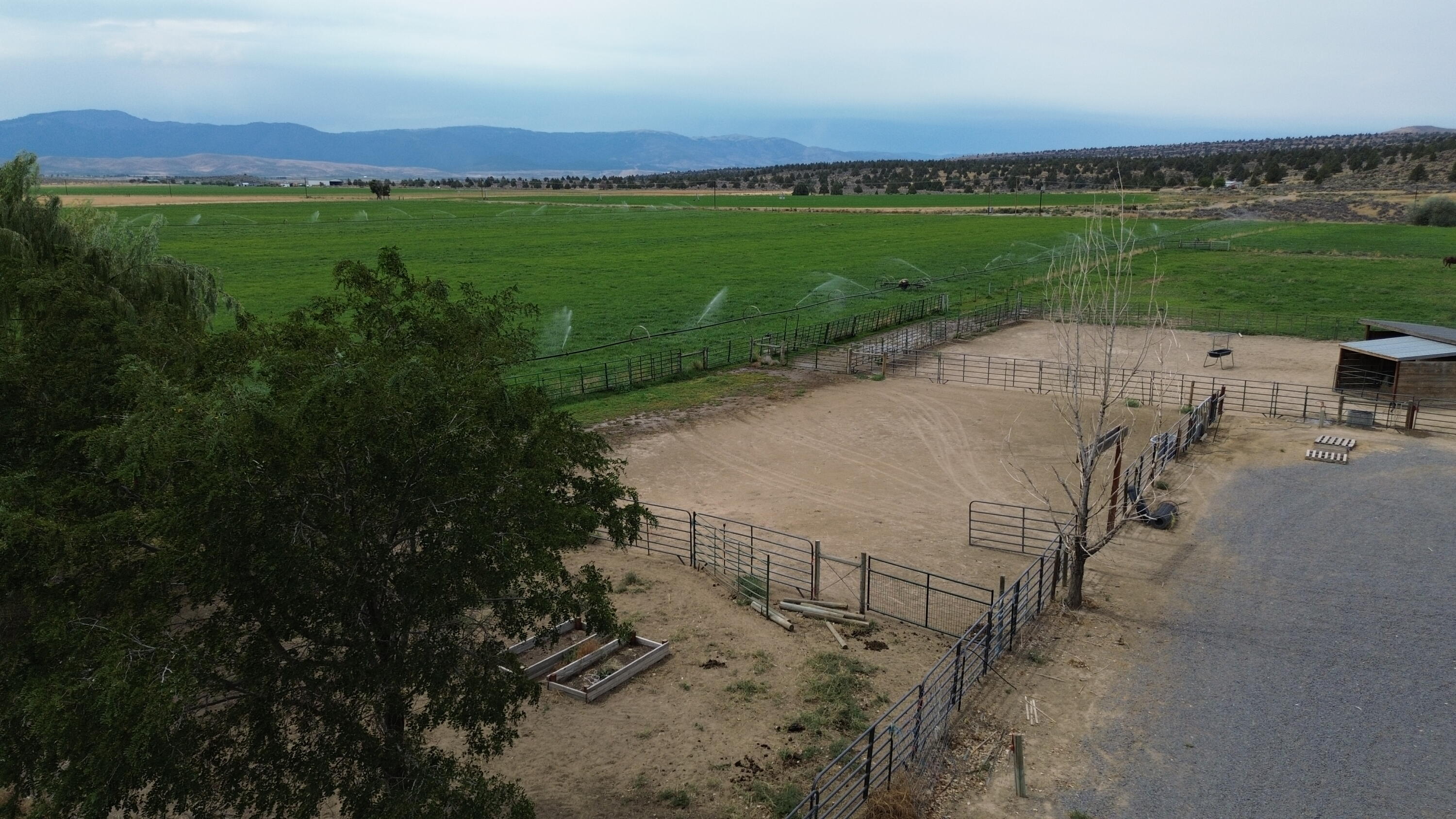 480-100 Belfast Road Litchfield, CA 96117 - Photo 78 of 100 24