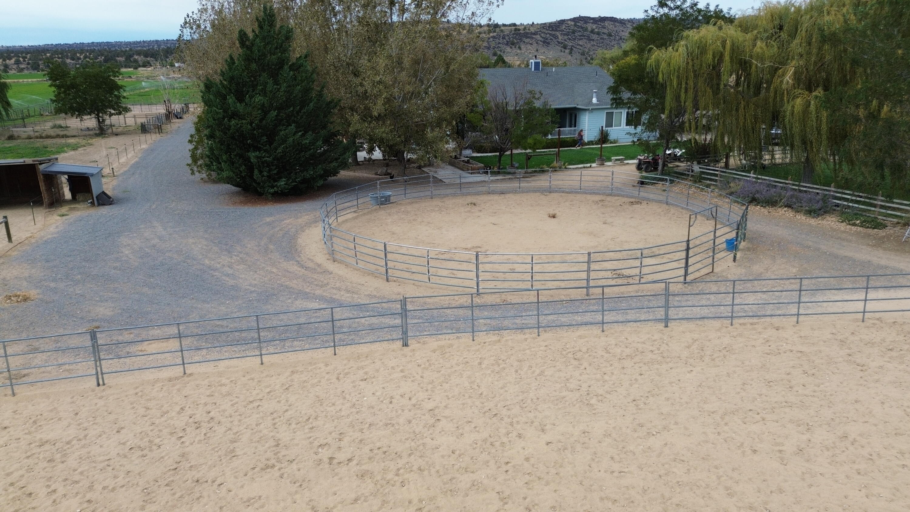 480-100 Belfast Road Litchfield, CA 96117 - Photo 80 of 100 a view of a backyard