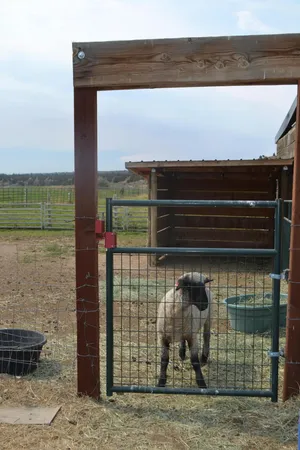 $969,000 | 480-100 Belfast Road, Litchfield, CA 96117