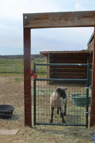 $999,000 | 480-100 Belfast Road, Litchfield, CA 96117