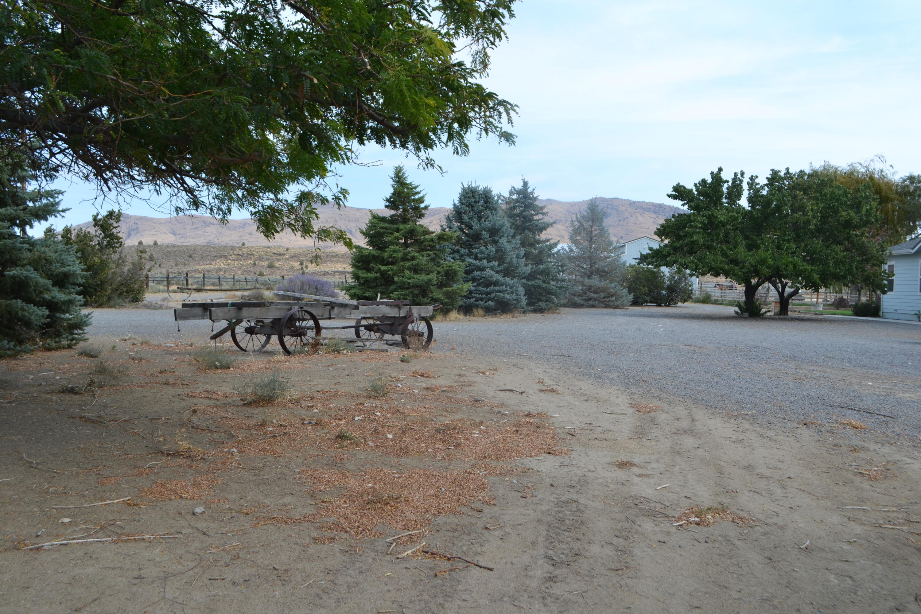 480-100 Belfast Road Litchfield, CA 96117 - Photo 96 of 100 a view of a yard with table and chairs