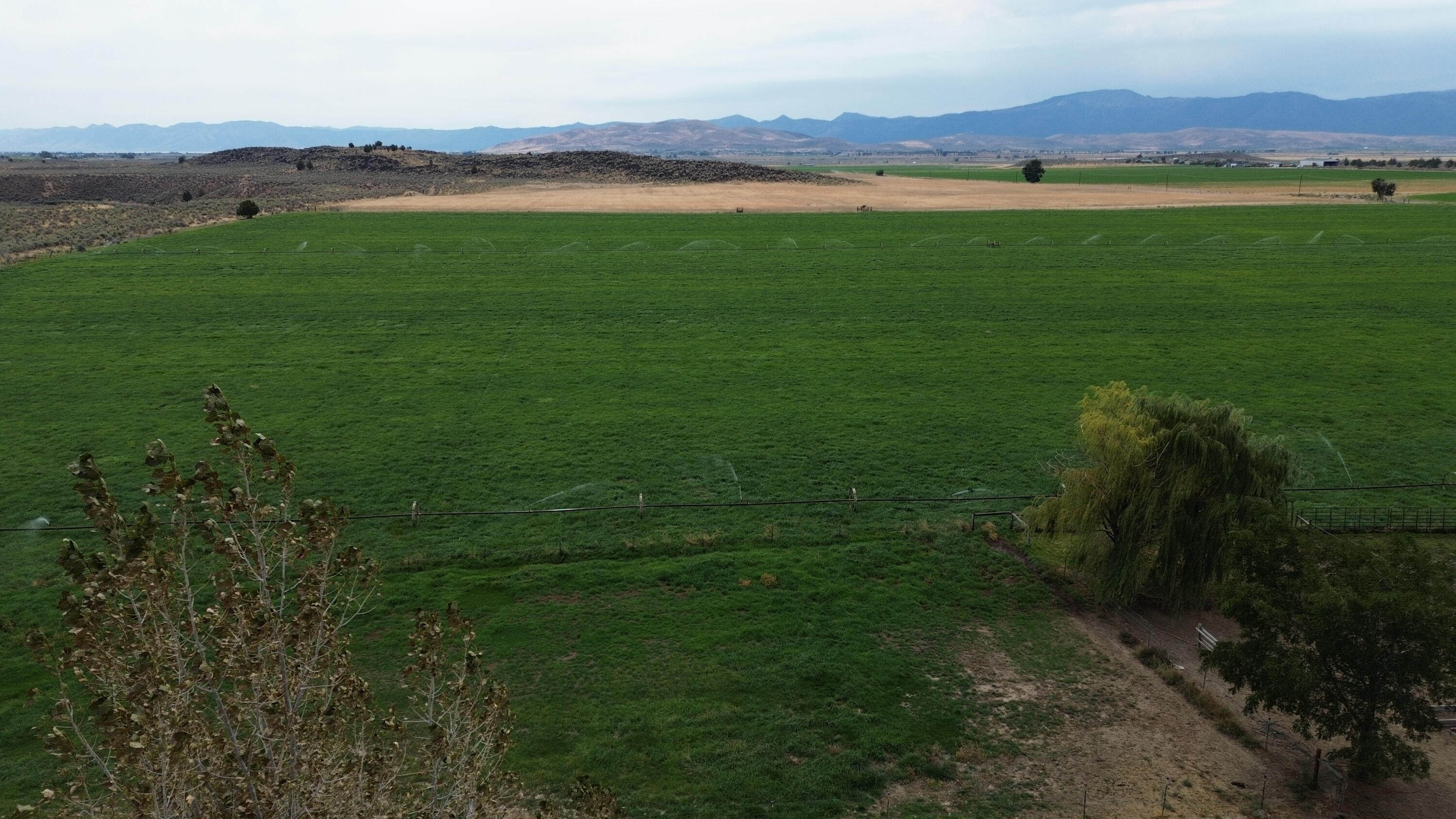 480-100 Belfast Road Litchfield, CA 96117 - Photo 99 of 100 DJI_0844