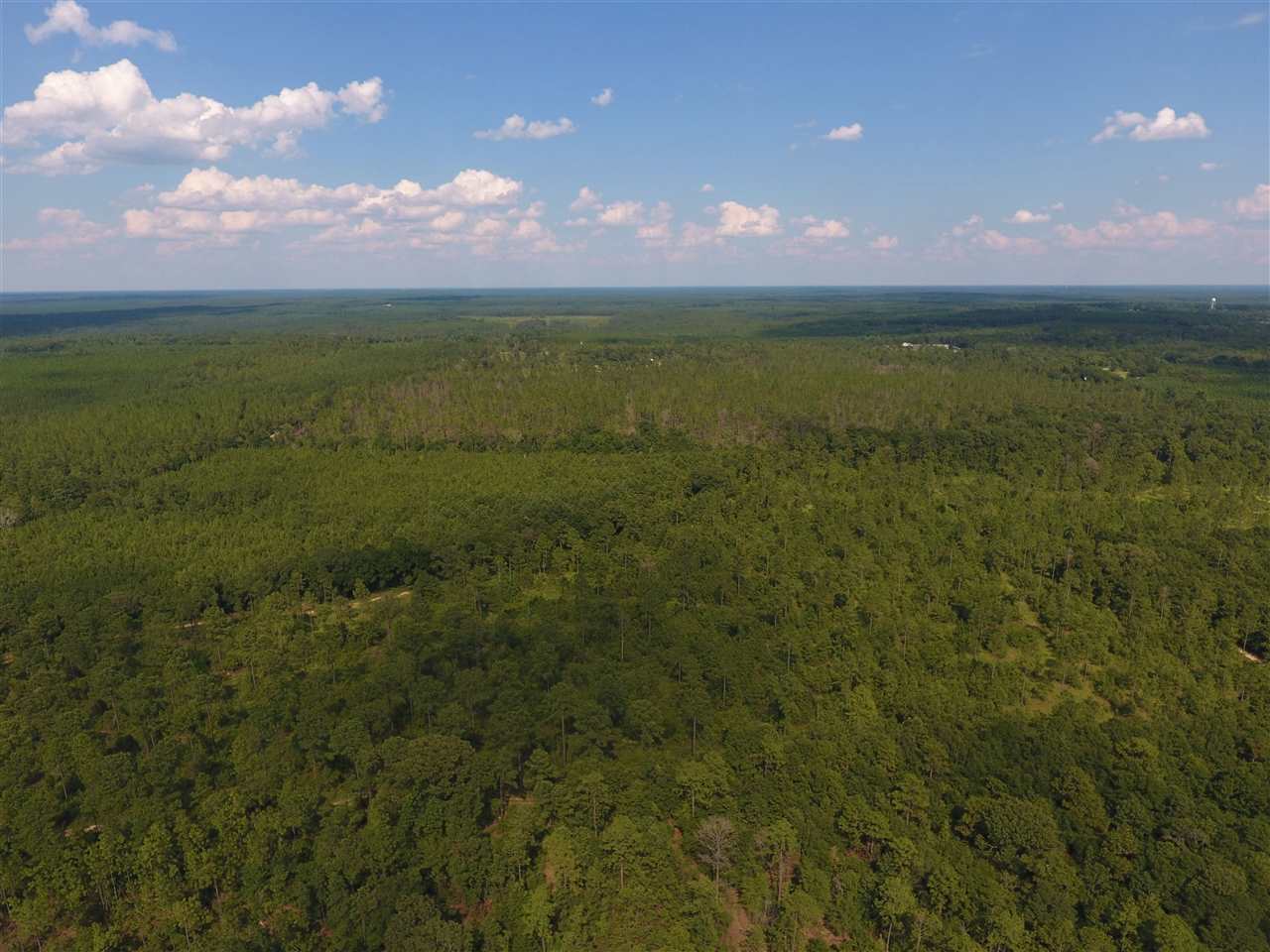 120 Paul Road Bay Minette, AL 36507 - Photo 8 of 11