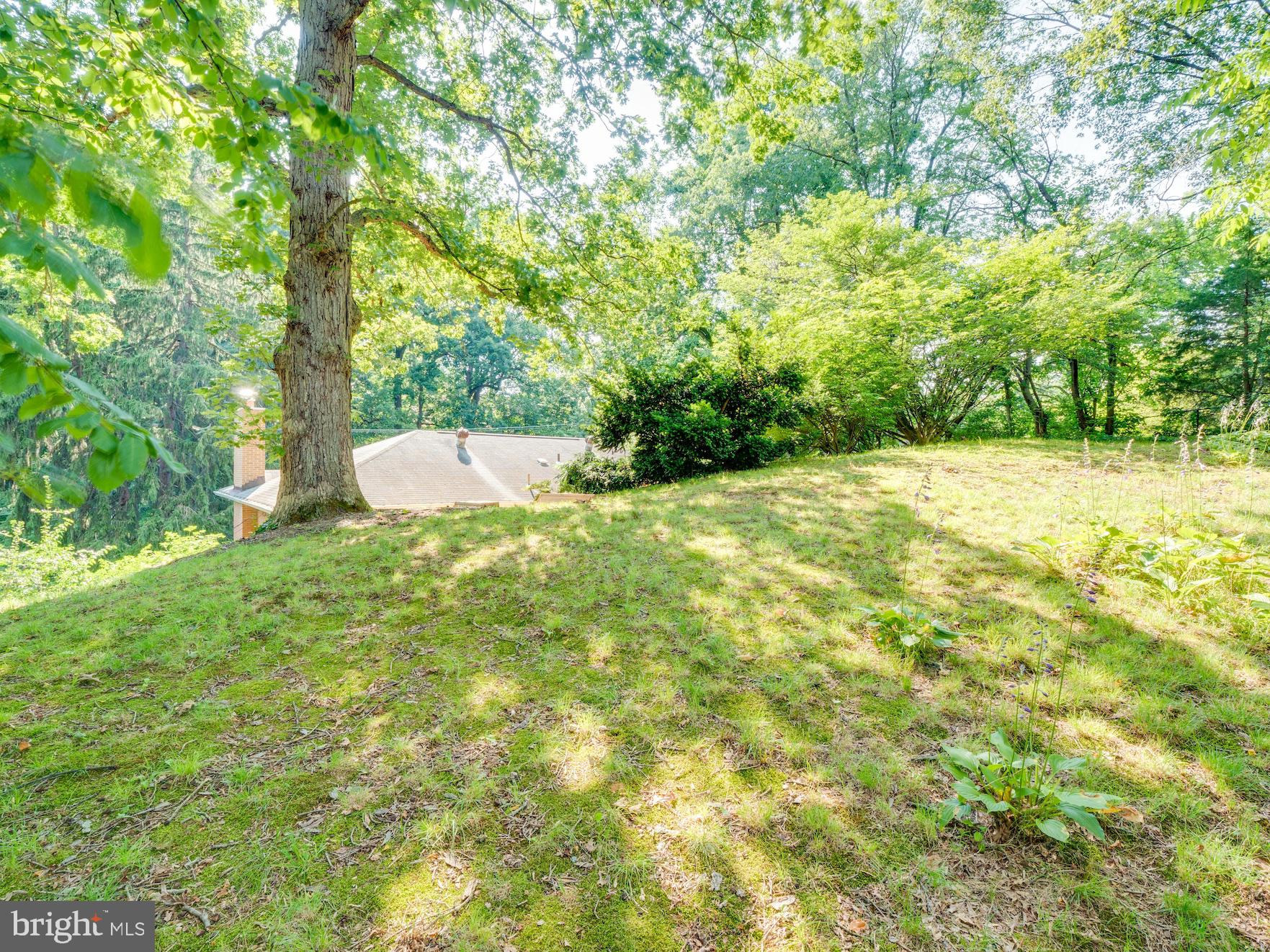 3725 Military Road Arlington, VA 22207 - Photo 29 of 33 Rear yard