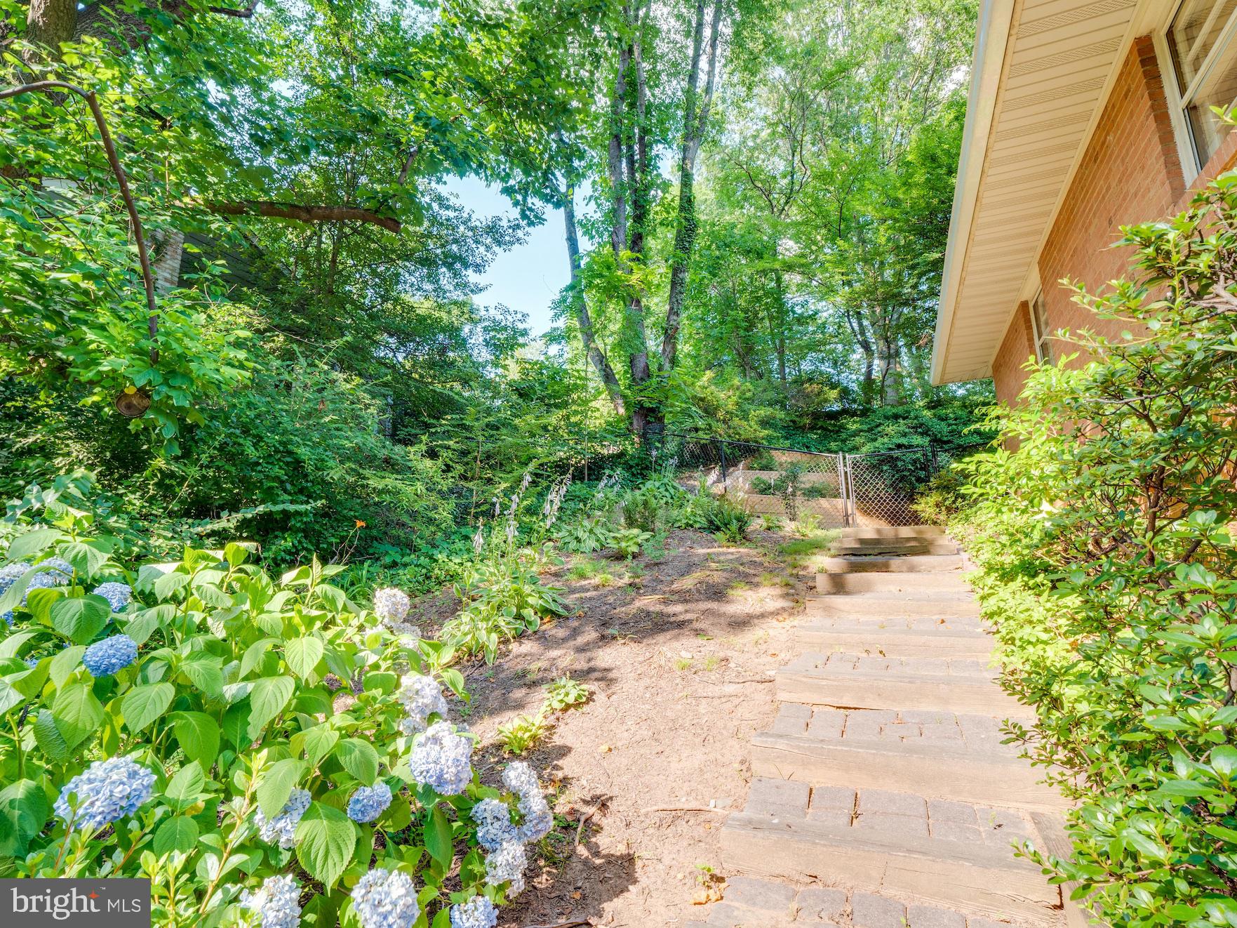 3725 Military Road Arlington, VA 22207 - Photo 30 of 33 Rear yard