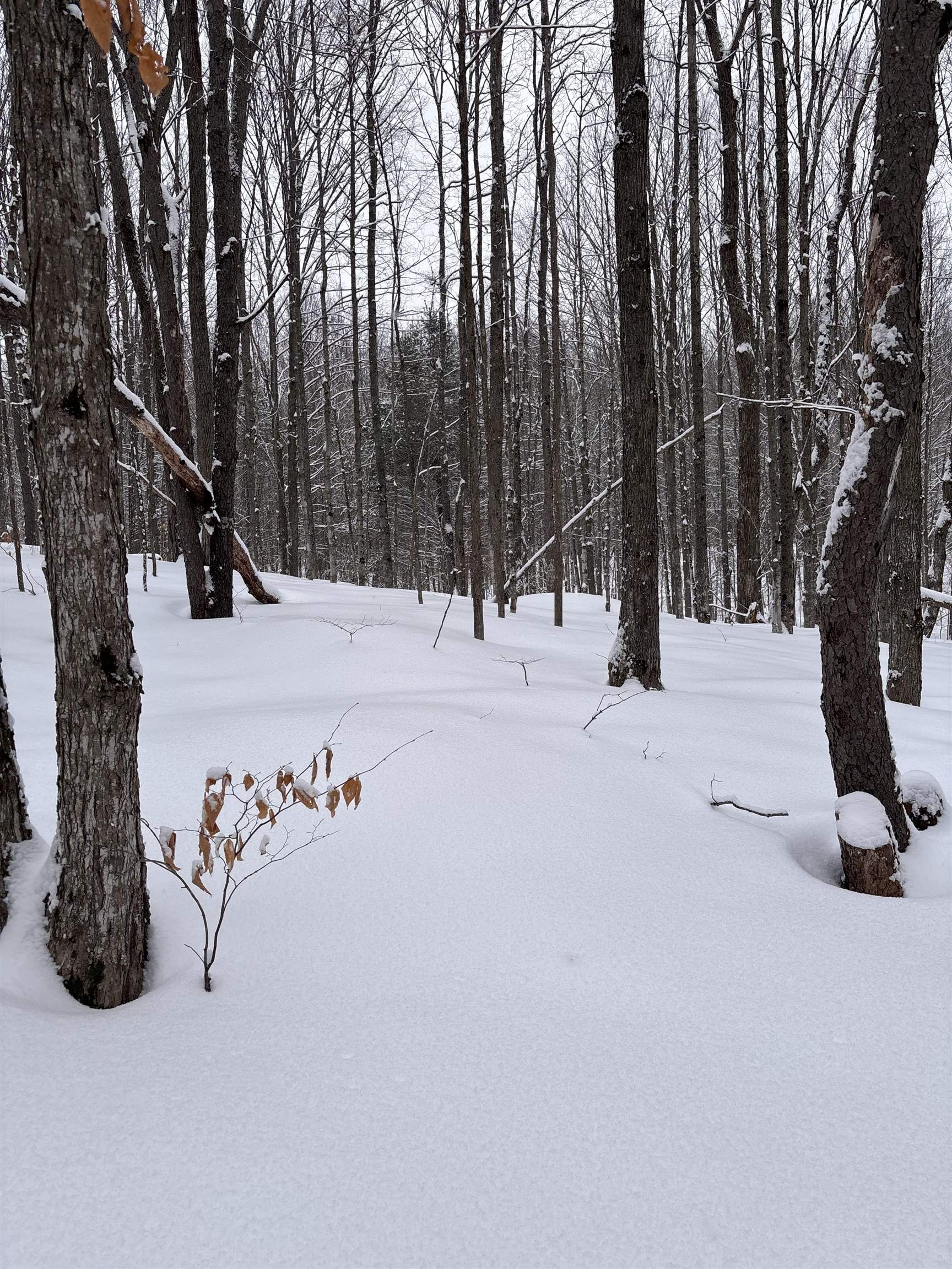 Vl 23 Lake Louise Road Interlochen, MI 49643 - Photo 2 of 9