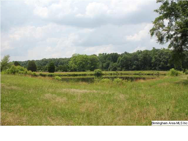1525 Oakley Station Road Randolph, AL 36792 - Photo 6 of 20