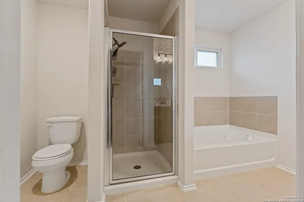 a bathroom with a shower and a toilet
