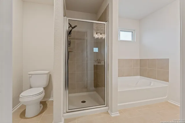 a bathroom with a shower and a toilet