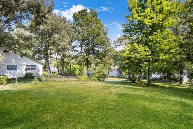 a view of a trees in a yard with plants and trees