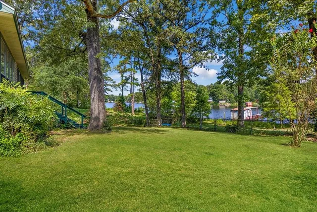 a tall tree in middle of green field