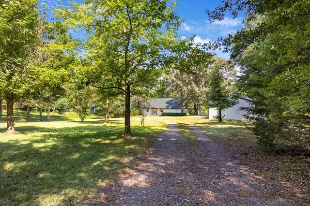 a view of yard with tree and a yard