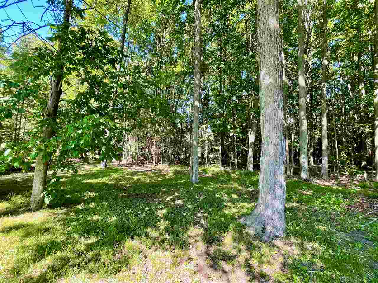 1818 Deerhaven Road Alger, MI 48610 - Photo 54 of 55
