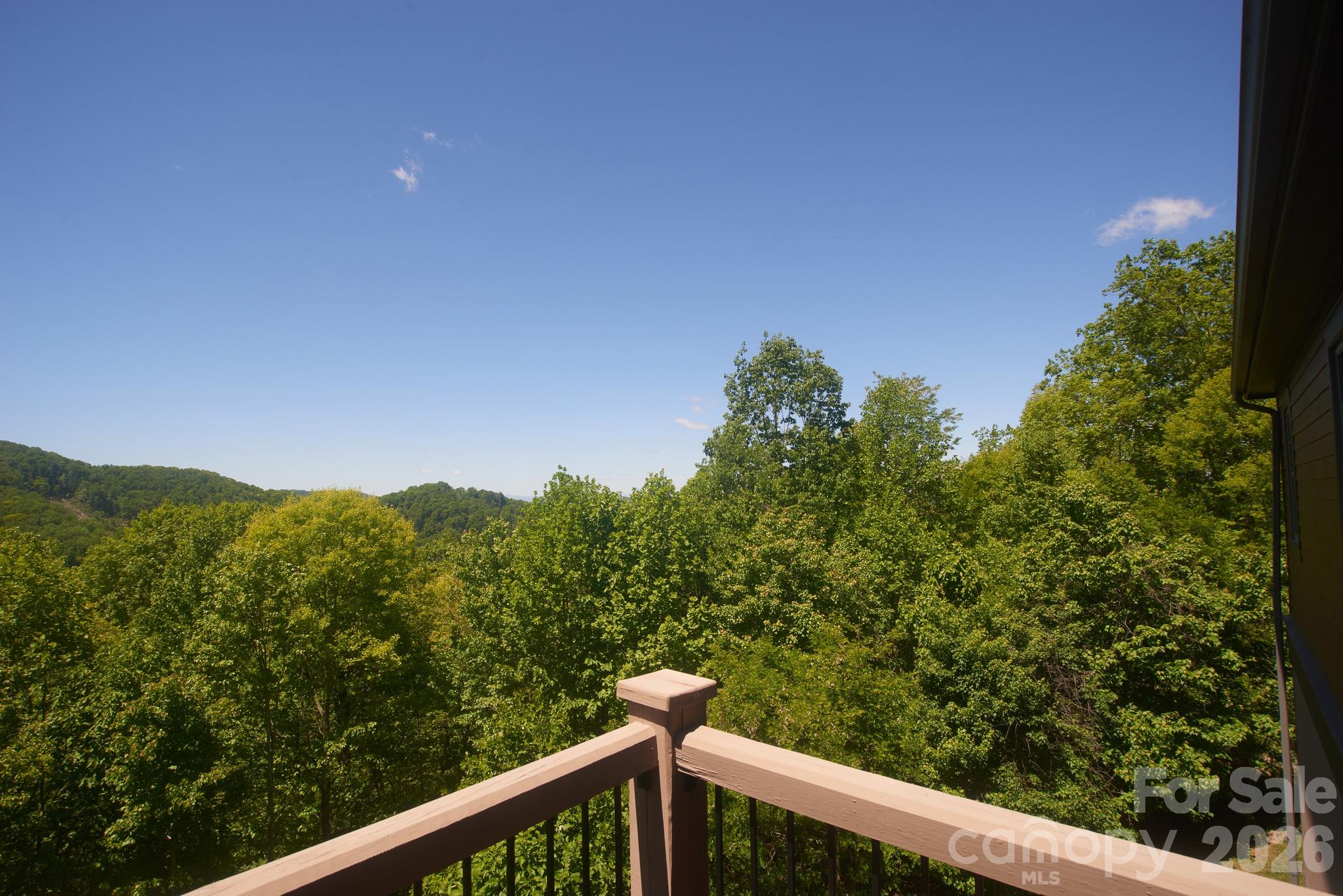 427 Spring Rock Road Burnsville, NC 28714 - Photo 17 of 43