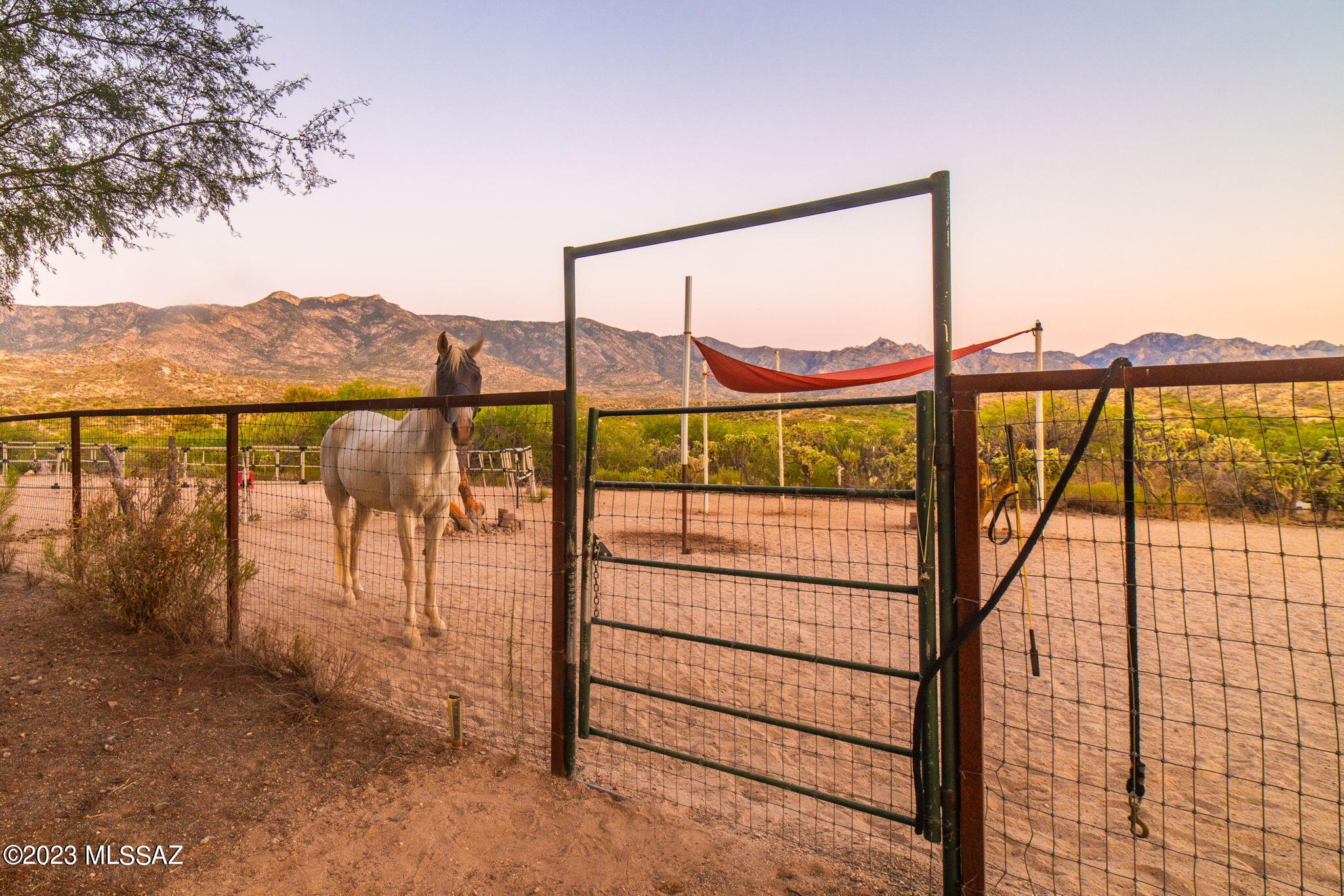 5470 East Edwin Road Tucson, AZ 85739 - Photo 49 of 50 Gallery Image 49