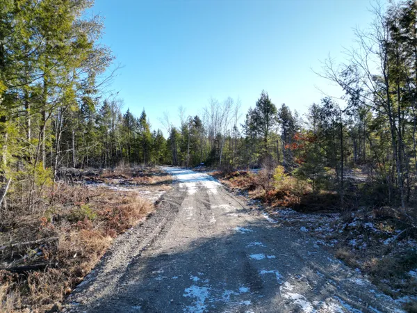 $29,900 | Lot 1 Mattamiscontis Road, Howland, ME 04448