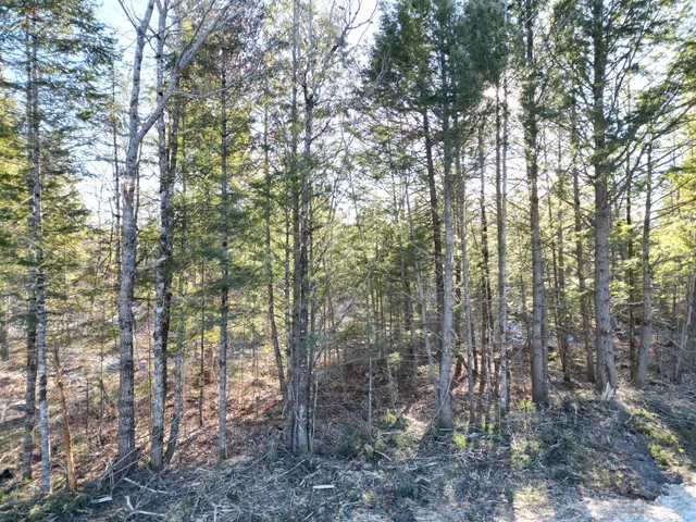 $29,900 | Lot 1 Mattamiscontis Road, Howland, ME 04448