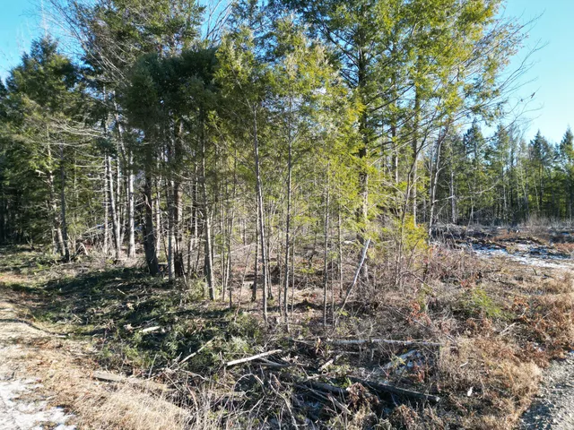 $29,900 | Lot 1 Mattamiscontis Road, Howland, ME 04448