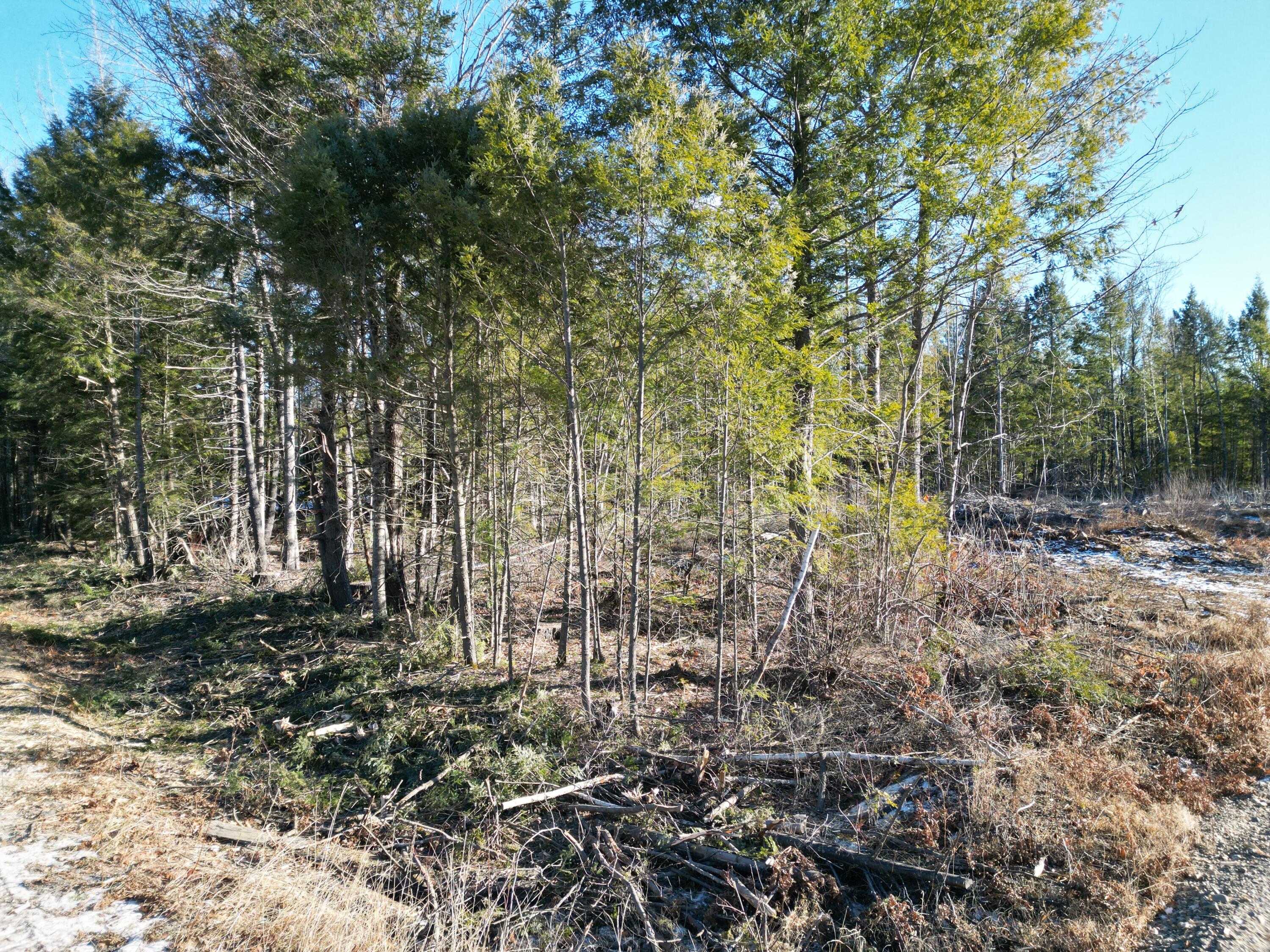 Lot 1 Mattamiscontis Road Howland, ME 04448 - Photo 6 of 8 DJI_0088